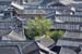 The rooftops of Lijiang China 1